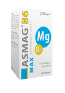 Asmag<sup>®</sup> B6 MAX